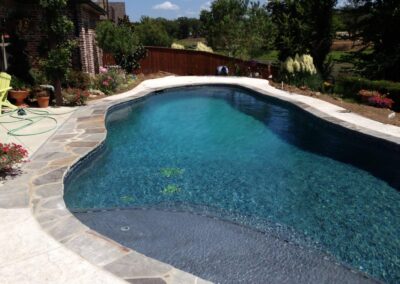 lagoon style pool with sea turtle mosaics